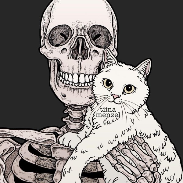 Череп кота