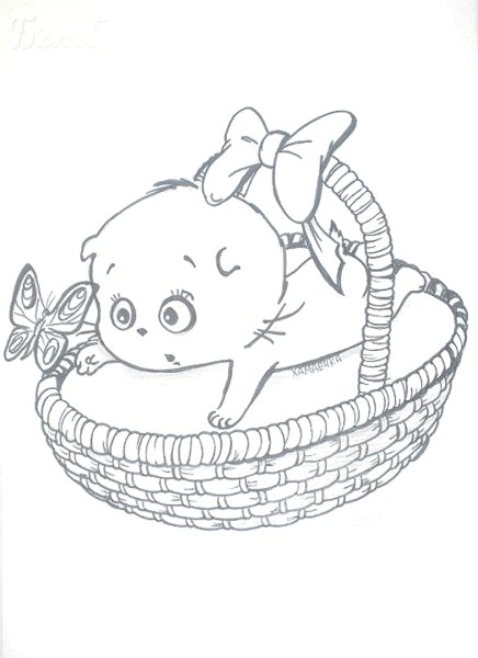 Раскраска кот Басик