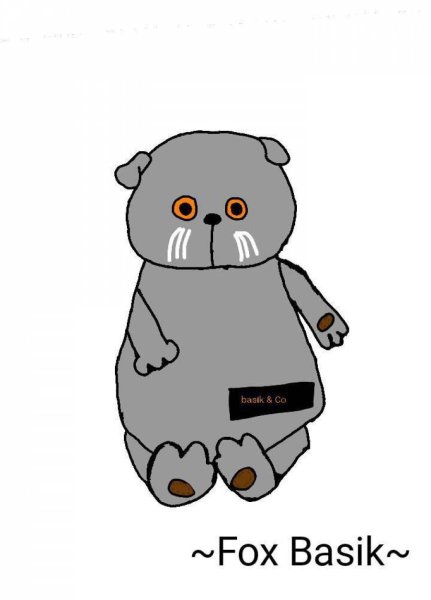 Кот Басик игрушка раскраска