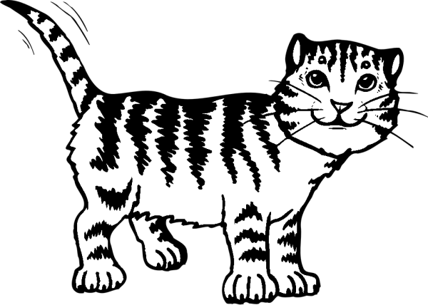 Раскраска полосатый кот