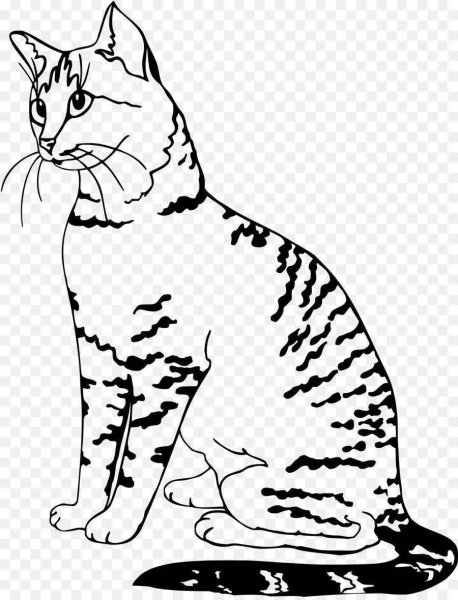 Раскраска Бенгальская кошка