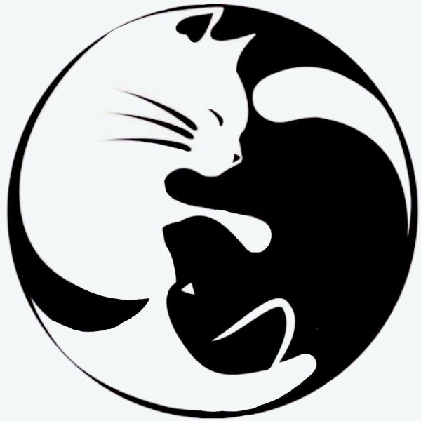 Кот Инь Янь