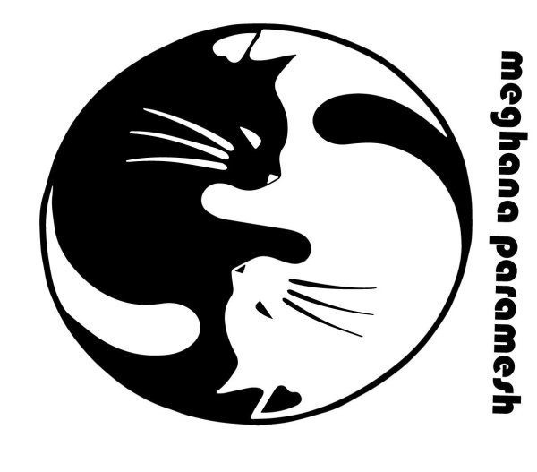 Кот Инь Янь