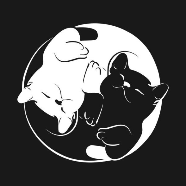 Инь и Янь в виде кошек
