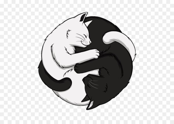 Инь Янь коты вектор