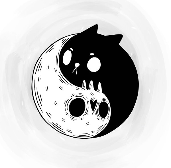 Кошачий Инь Янь