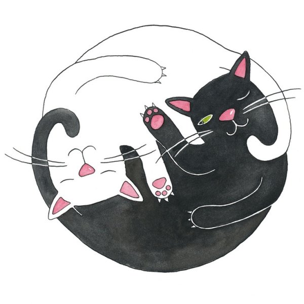 Коты Инь Янь