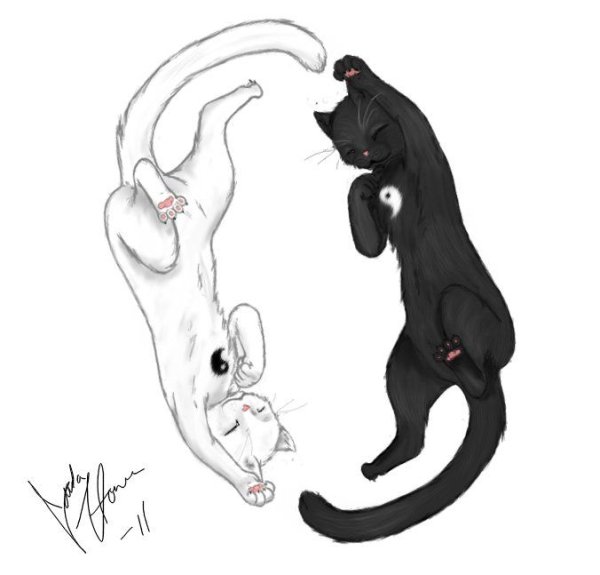 Котята аниме