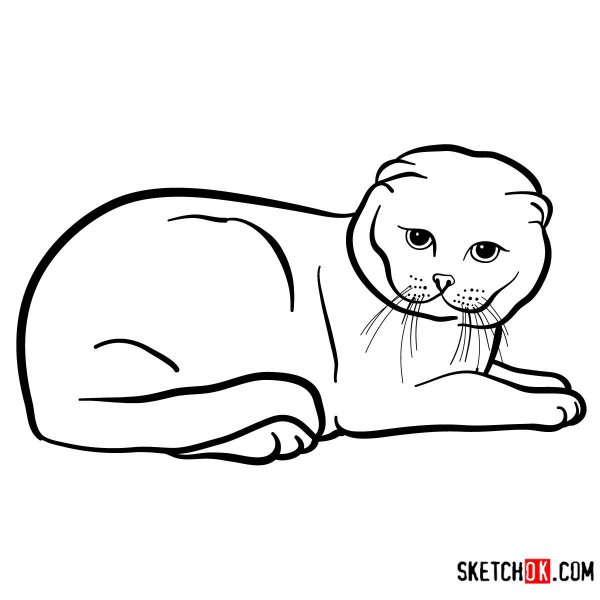Раскраска вислоухий кот