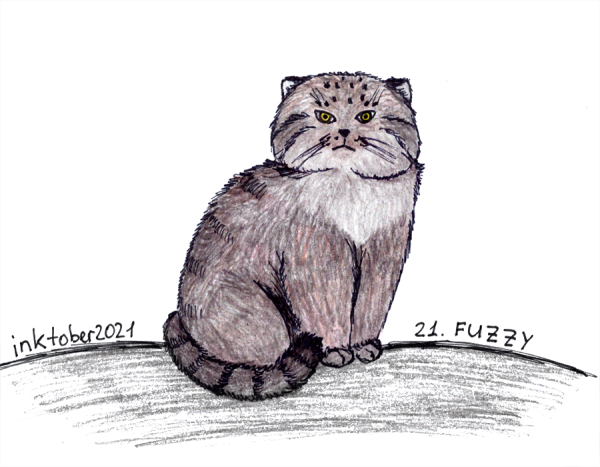 Рисунок манула для срисовки