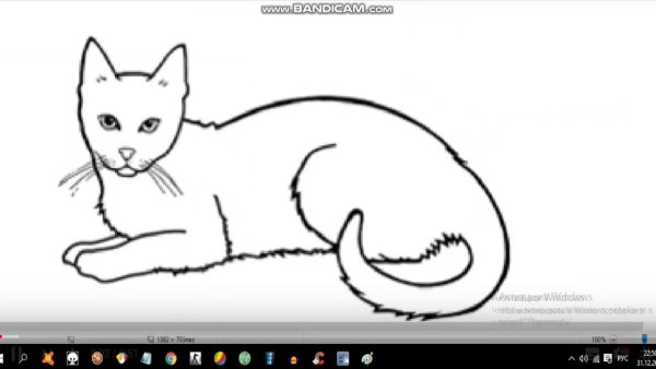 Кошка лежит раскраска