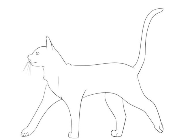 Кот сбоку рисунок