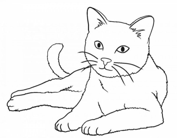 Раскраски кошка боком (44 фото)