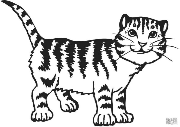 Раскраска полосатый кот