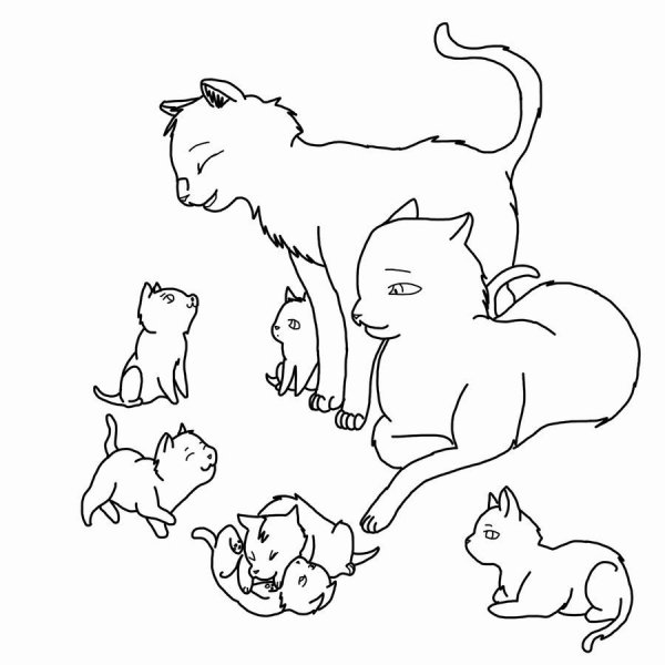 Коты Воители лайны семья
