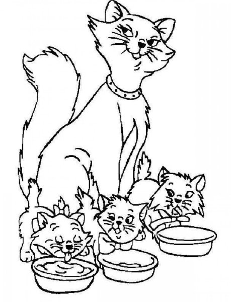 Кошки. Раскраска