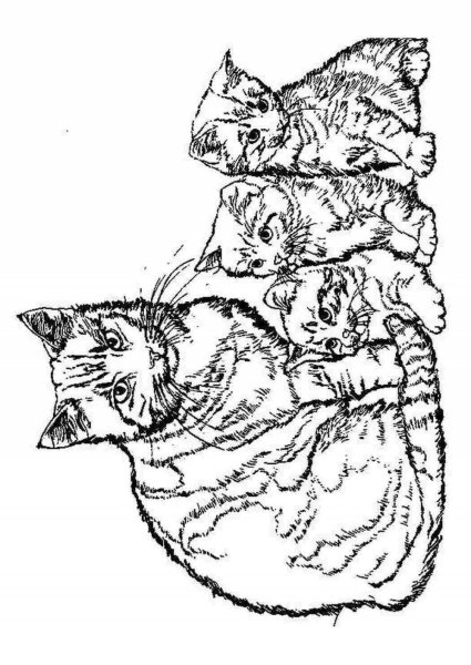 Раскраска кошка с котятами