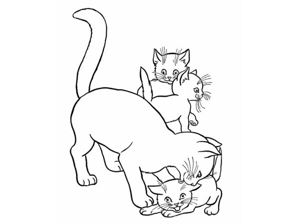 Раскраска котик с мамой