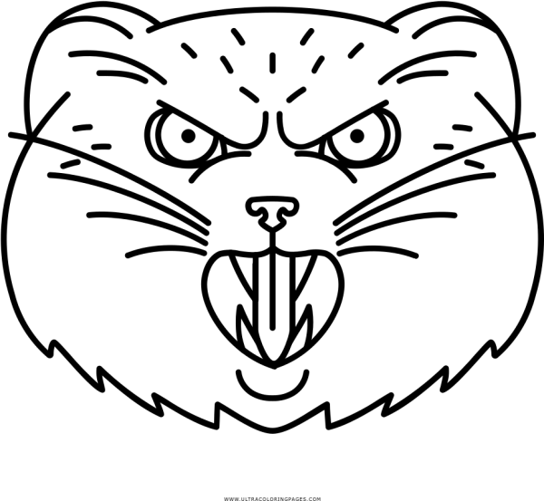 Кот Манул
