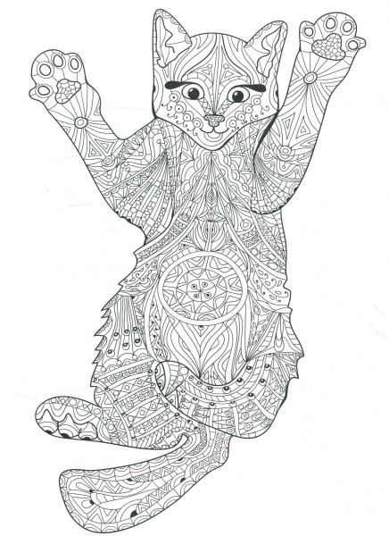 Кошки. Раскраска