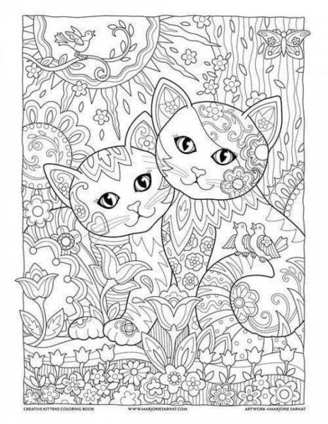 Раскраски красивые котики