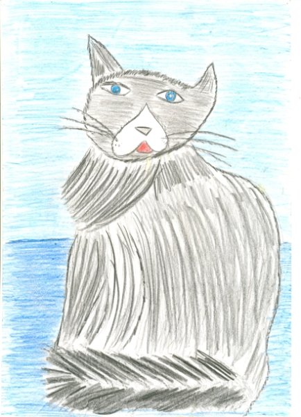 Кот Епифан Чарушин