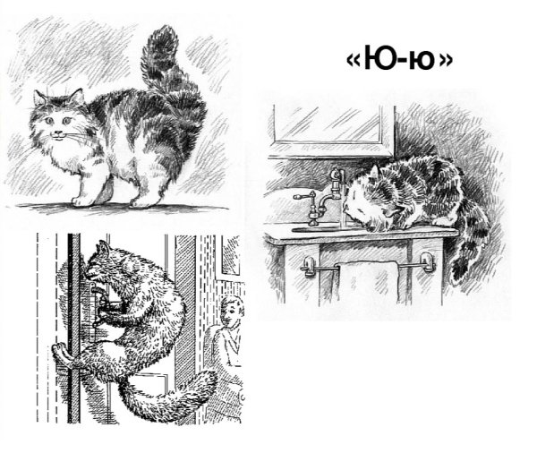 Кошка ю-ю Куприн