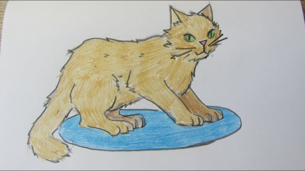 Кот Епифан рисунок