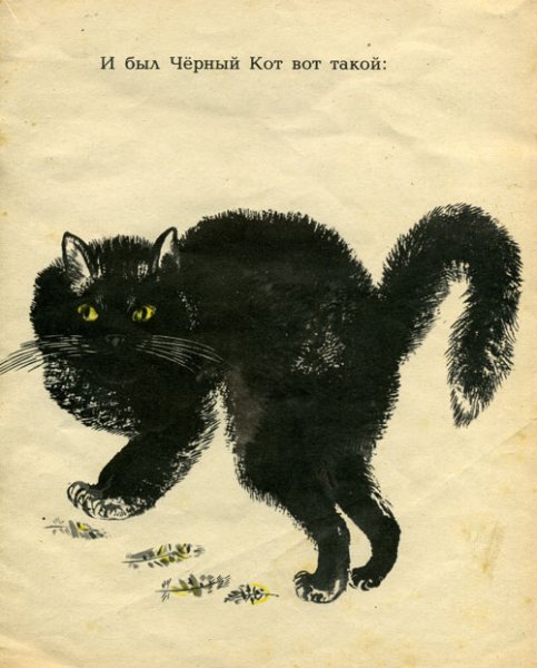 Кот Епифан Чарушин