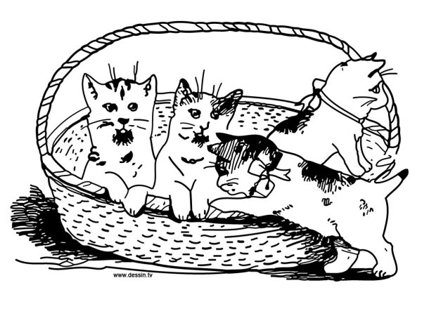 Раскраска котята в корзине