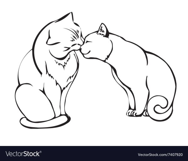 Влюбленные коты контур