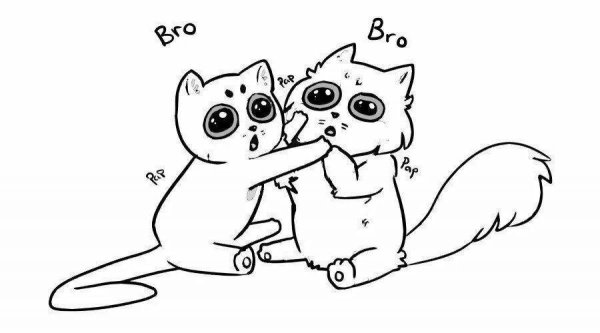 Коты Воители лайны друзья