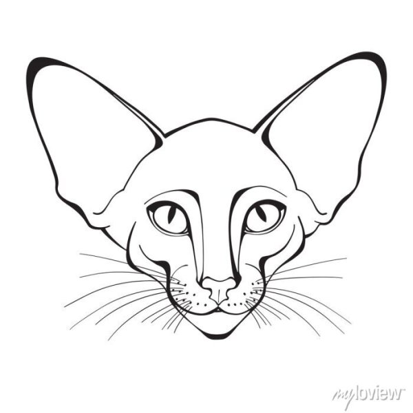 Ориентальная кошка вектор