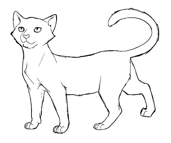 Нарисовать кошку