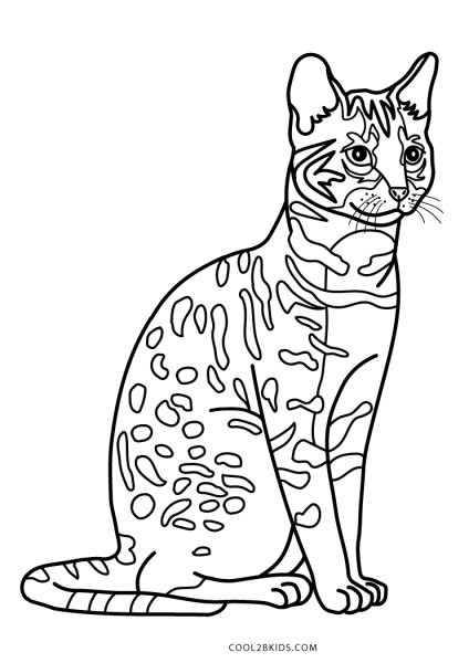 Бенгальский кот раскраска