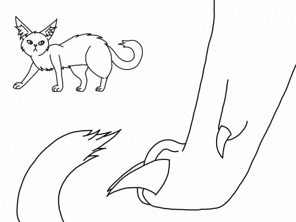 Коты Воители раскраска драка
