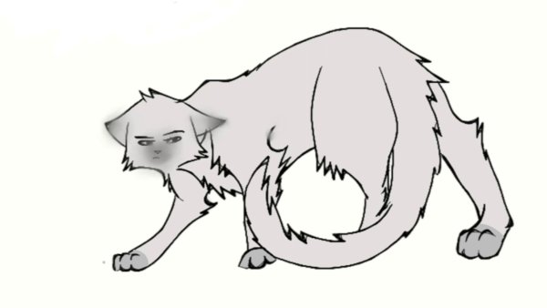 Коты Воители лайны злые