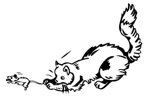 Раскраски кот ловит мышей (45 фото)