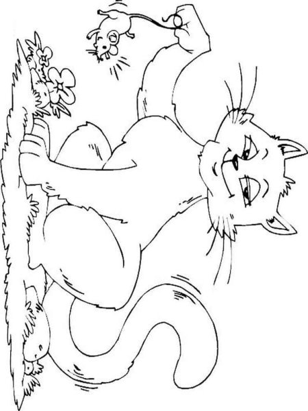 Кошка и мышка раскраска