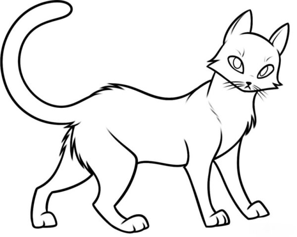 Кошки. Раскраска