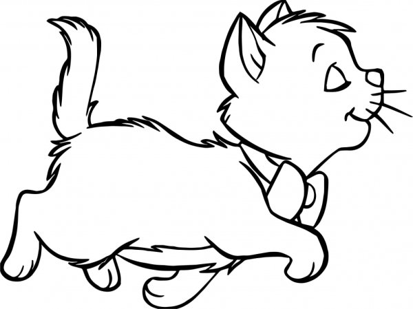 Котенок. Раскраска