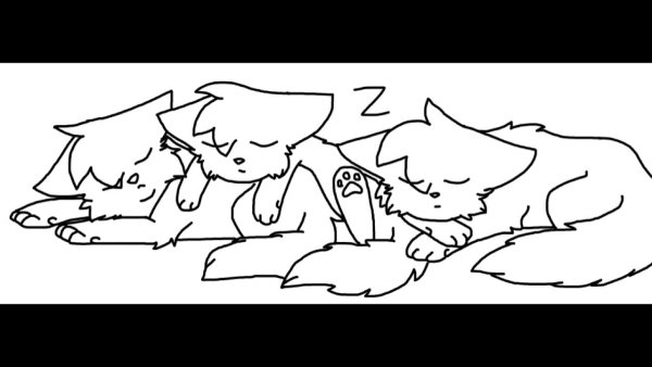 Коты Воители лайны спит