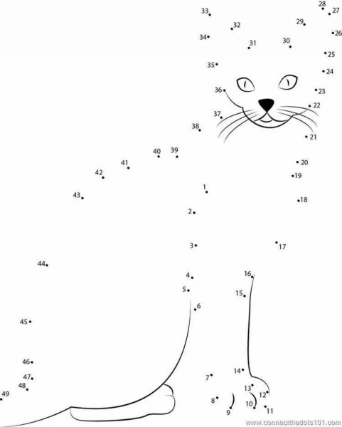 Рисование по точкам кот