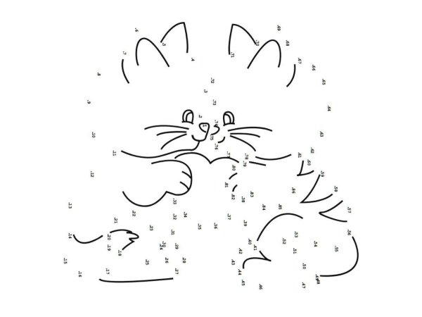 Рисунок по точкам котик