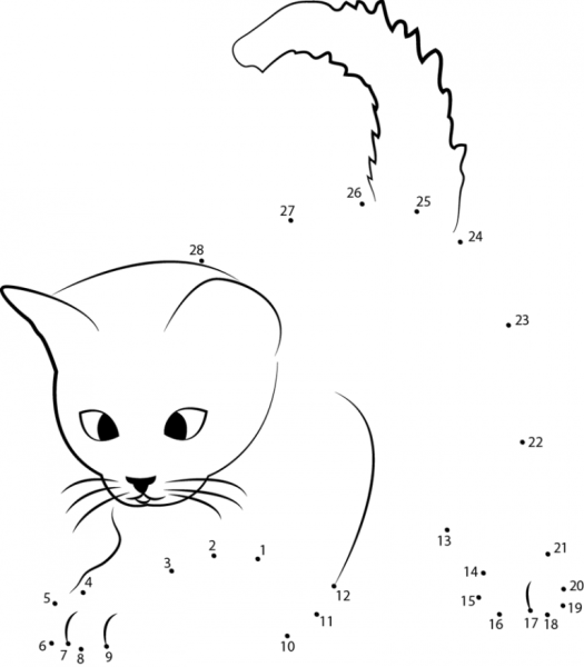 Рисование по точкам кот