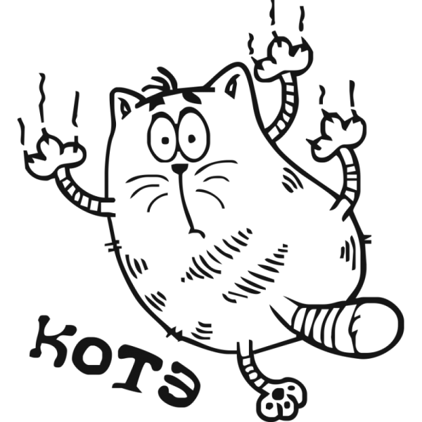Наклейка - кот