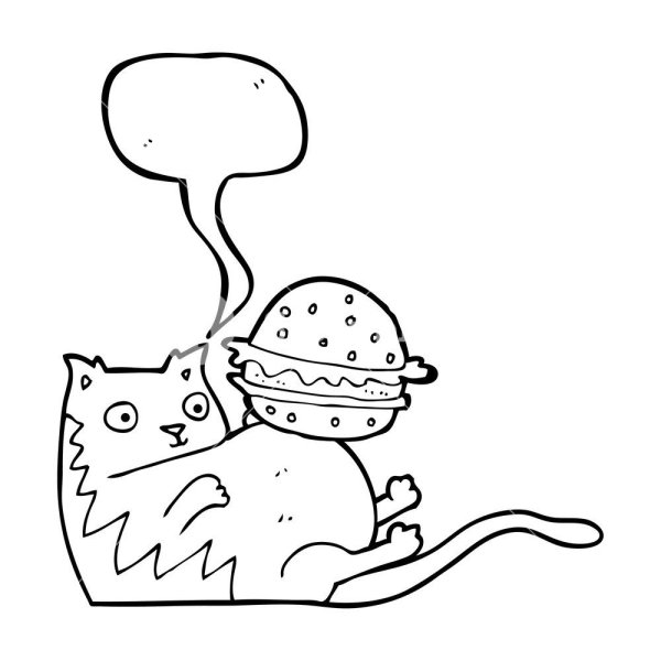 Котик бургер раскраска