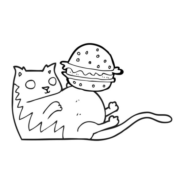 Раскраска котик с бургером