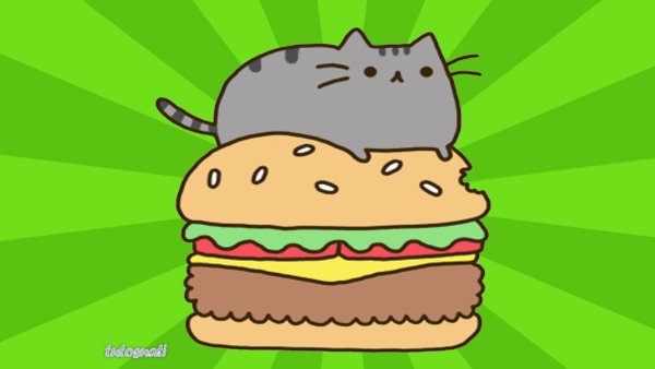 Котик на бургере