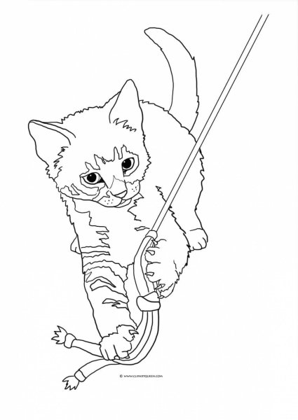 Раскраска. Котики